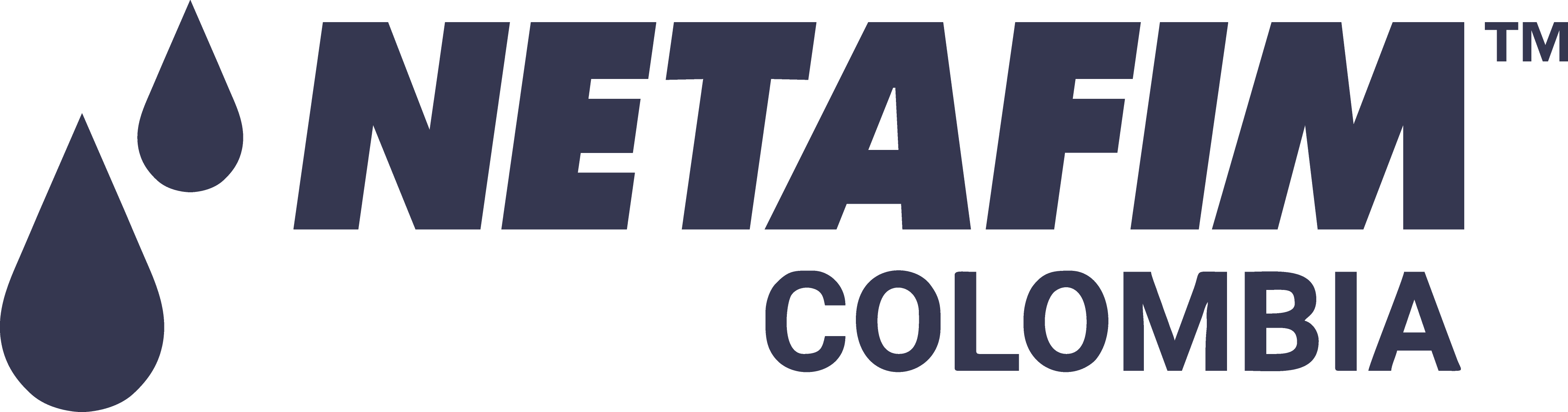 Logo cliente NETAFIM
